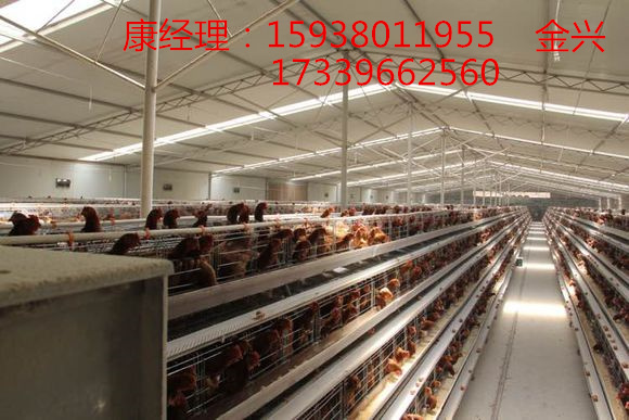 雞籠圖片/雞籠樣板圖 (4)