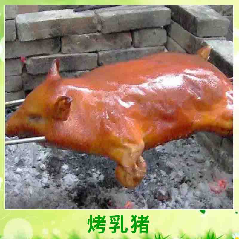 烤乳豬圖片/烤乳豬樣板圖 (2)