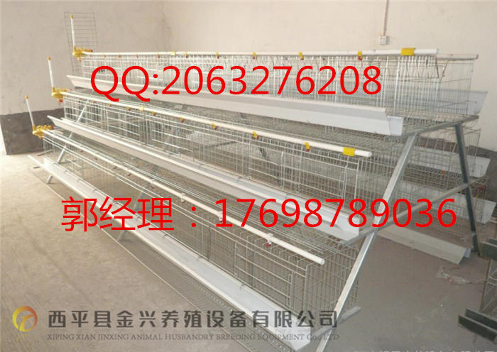 三層蛋雞籠   廠家直銷