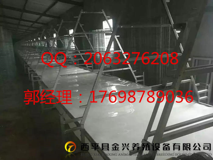 撿蛋機(jī)圖片/撿蛋機(jī)樣板圖 (3)