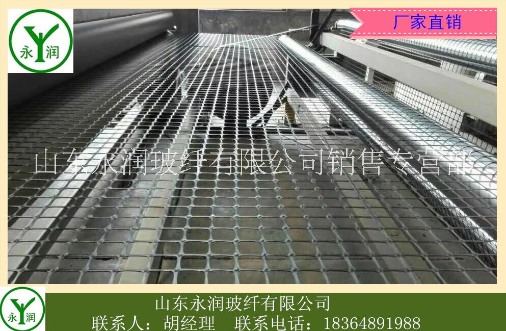雙向拉伸塑料土工格柵圖片