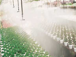 溫室配套系統(tǒng)——加溫系統(tǒng)圖片/溫室配套系統(tǒng)——加溫系統(tǒng)樣板圖 (4)