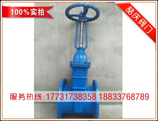 明桿軟密封閘閥圖片/明桿軟密封閘閥樣板圖 (1)