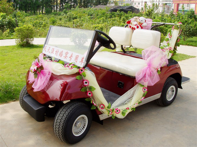 供應(yīng)兩座高爾夫觀(guān)光車(chē)，廣東高爾夫觀(guān)光車(chē)廠(chǎng)家， 價(jià)格直銷(xiāo)/批發(fā)。 2座觀(guān)光車(chē)