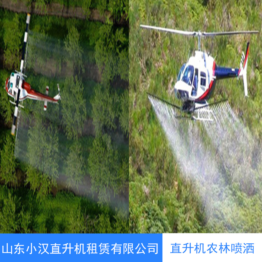 河南直升機(jī)農(nóng)林噴灑公司圖片/河南直升機(jī)農(nóng)林噴灑公司樣板圖 (2)