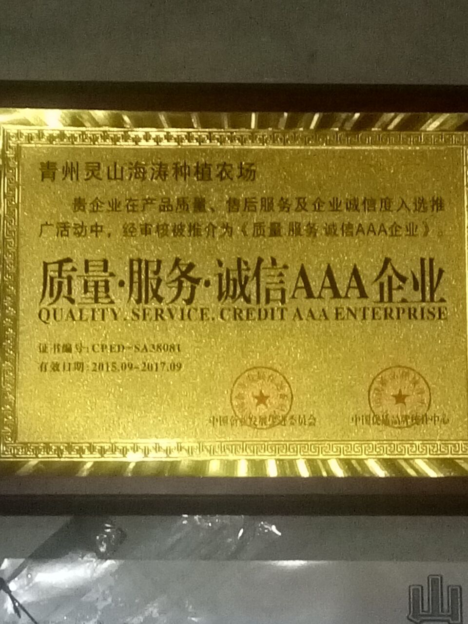 桃樹苗圖片/桃樹苗樣板圖 (2)
