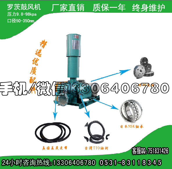 罗茨风机HLSR200H（双油箱水冷）110kw厂家价格图片