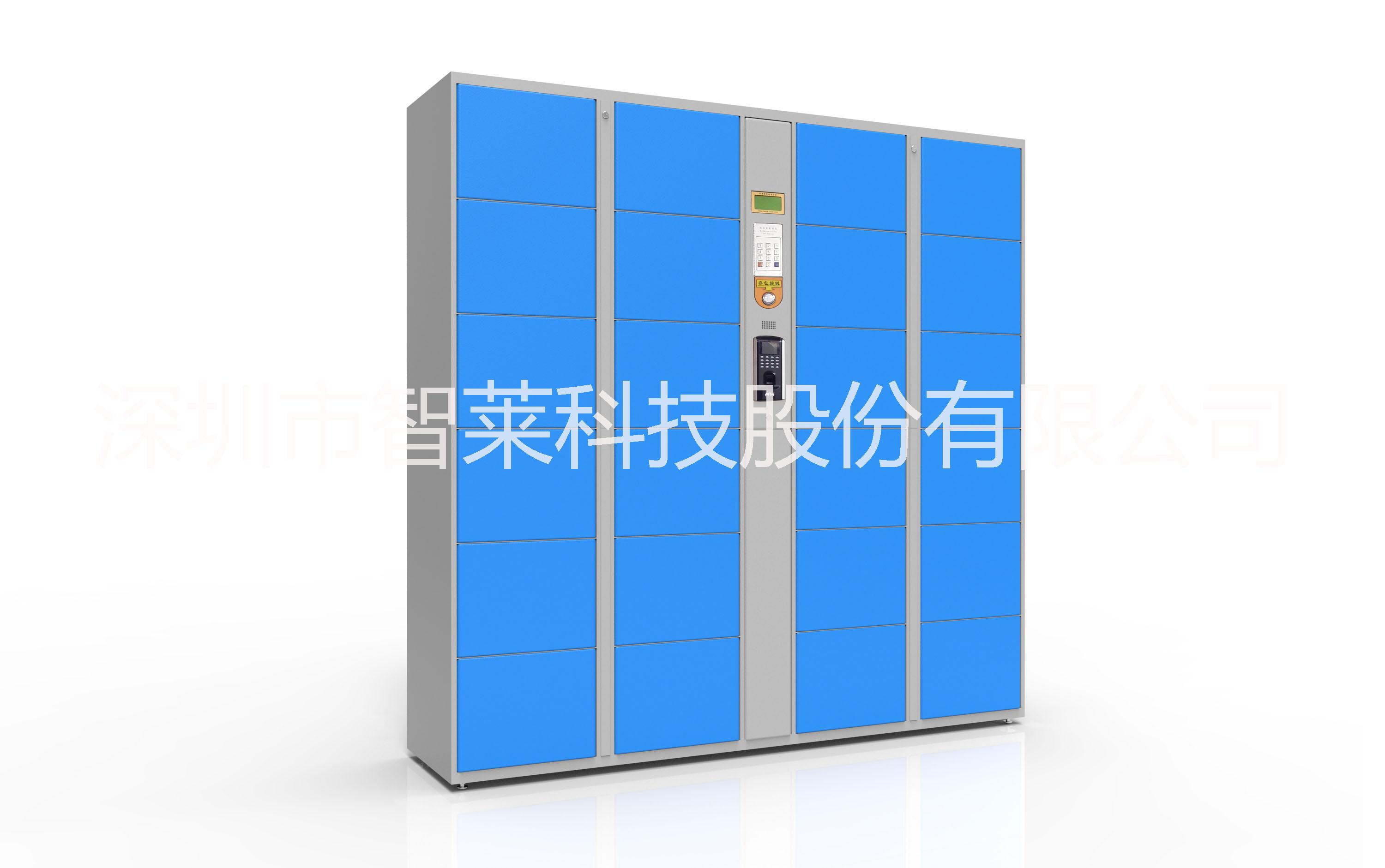 智萊指紋識別型電子寄存柜 智能寄存柜 儲物柜
