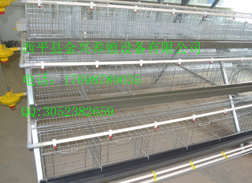提供專業(yè)的階梯式蛋雞籠、肉雞籠 提供質(zhì)量可靠的各層階梯式蛋雞籠