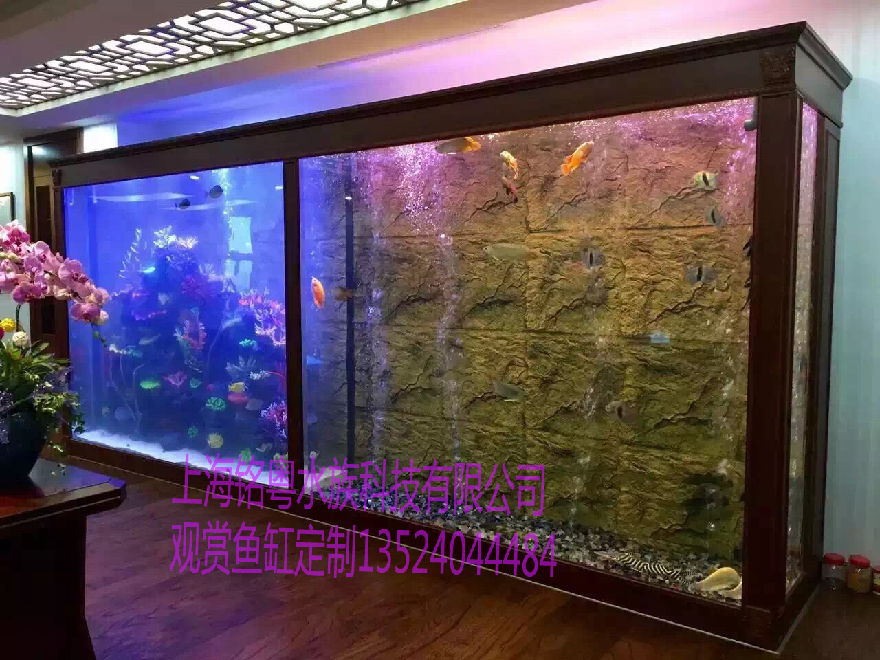 有機(jī)玻璃水族箱圖片/有機(jī)玻璃水族箱樣板圖 (2)