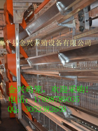 雞舍自動(dòng)圖片/雞舍自動(dòng)樣板圖 (3)