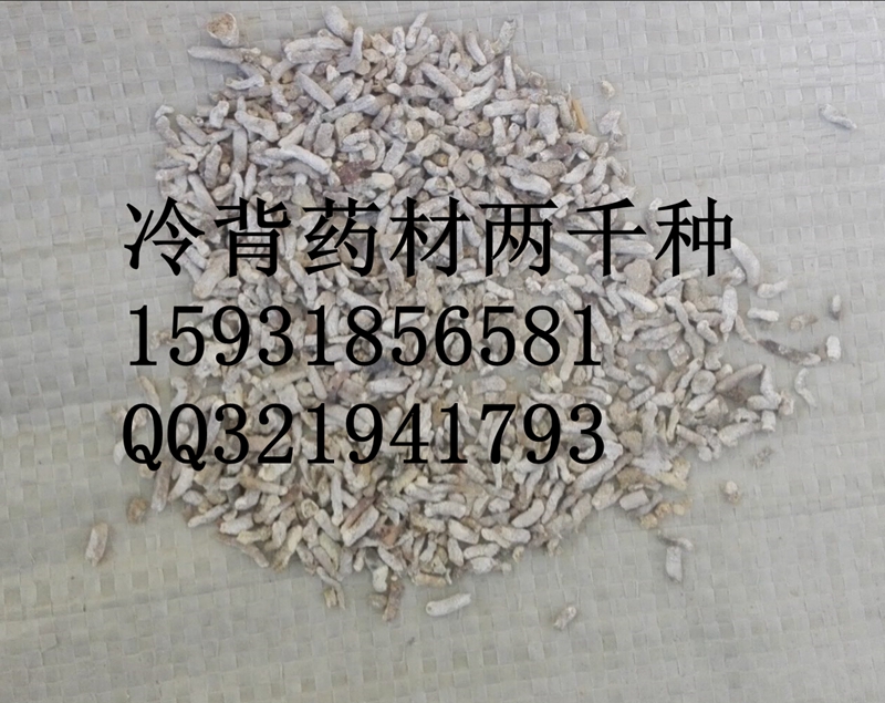 白丁香哪里有賣