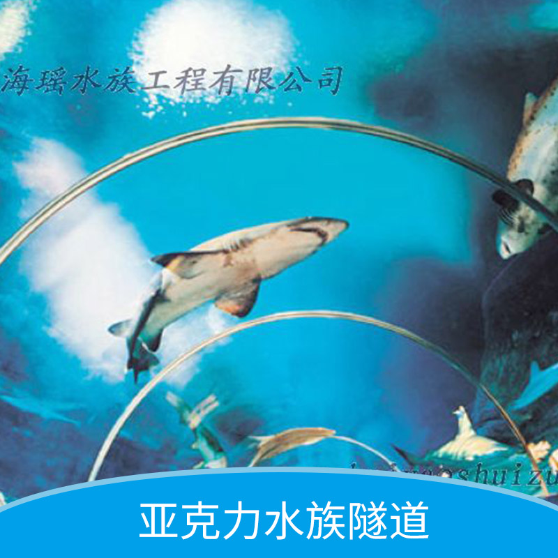 亞克力水族圖片/亞克力水族樣板圖 (3)