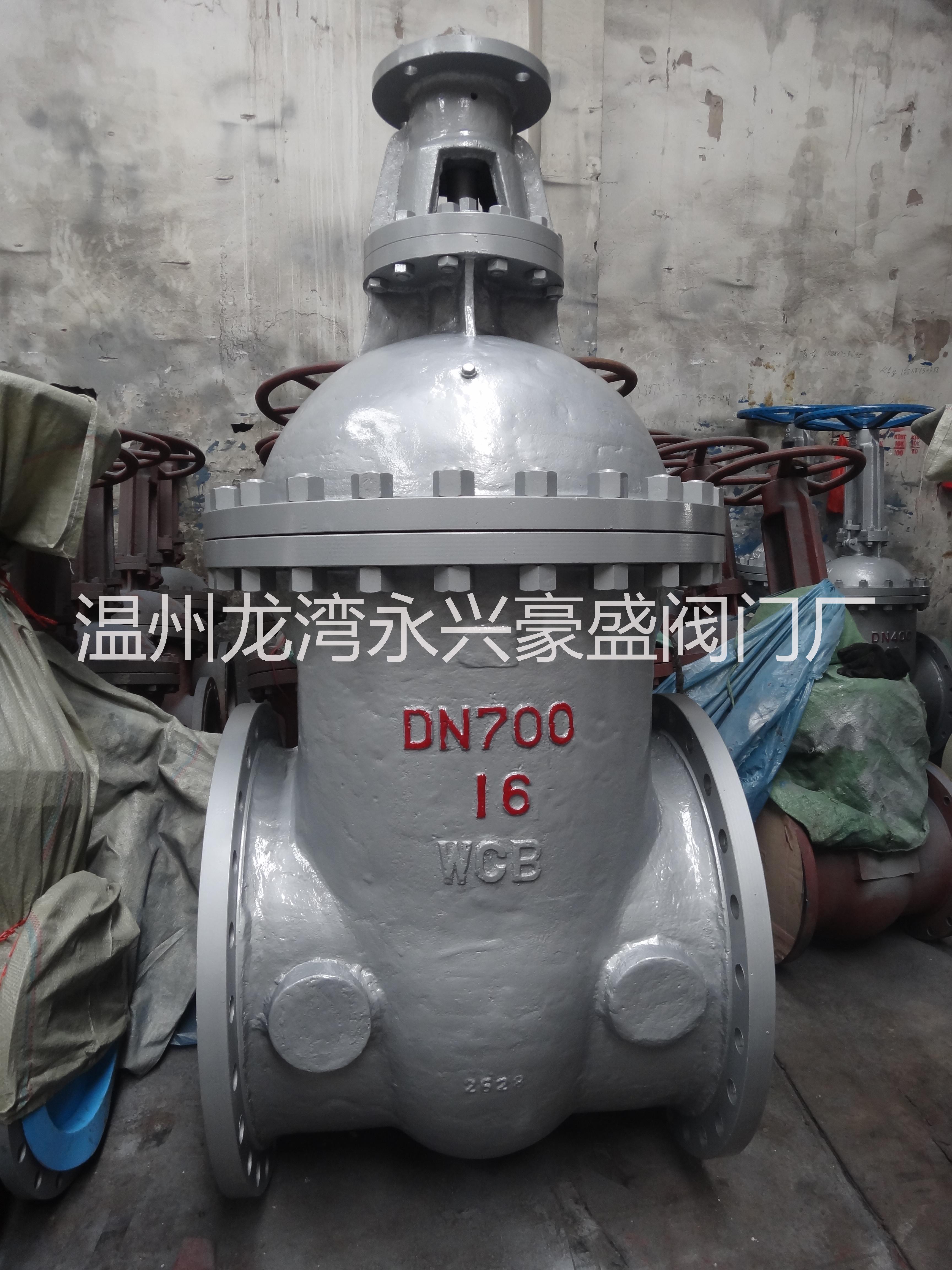 大口徑閘閥圖片/大口徑閘閥樣板圖 (2)
