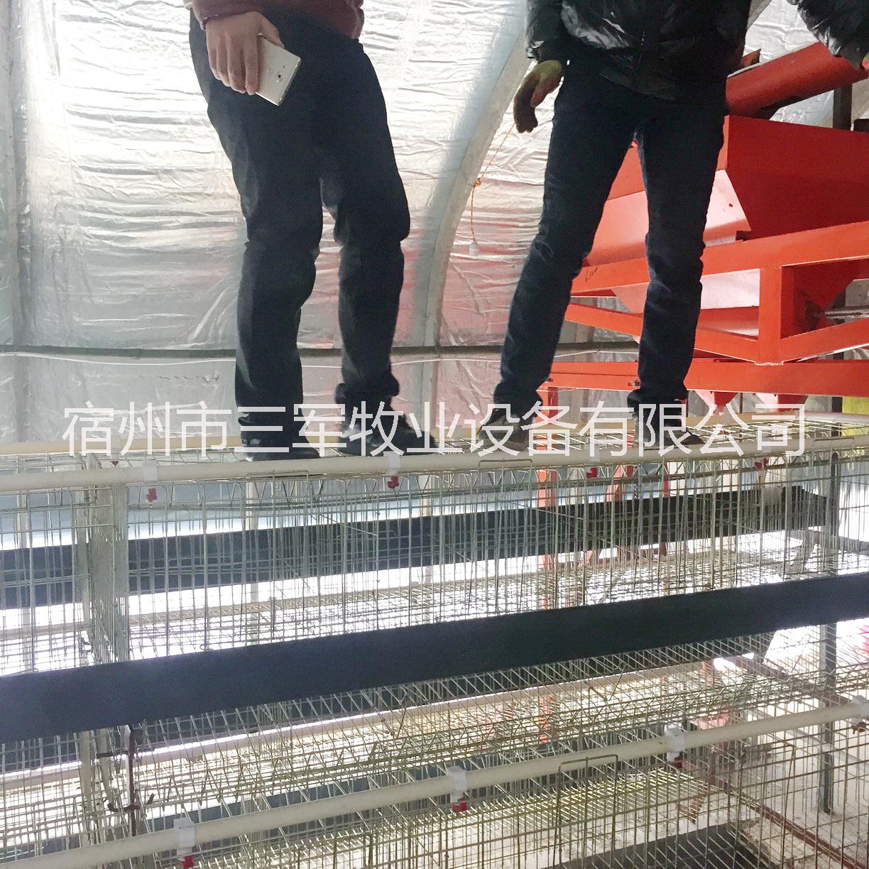 蛋雞籠圖片/蛋雞籠樣板圖 (3)