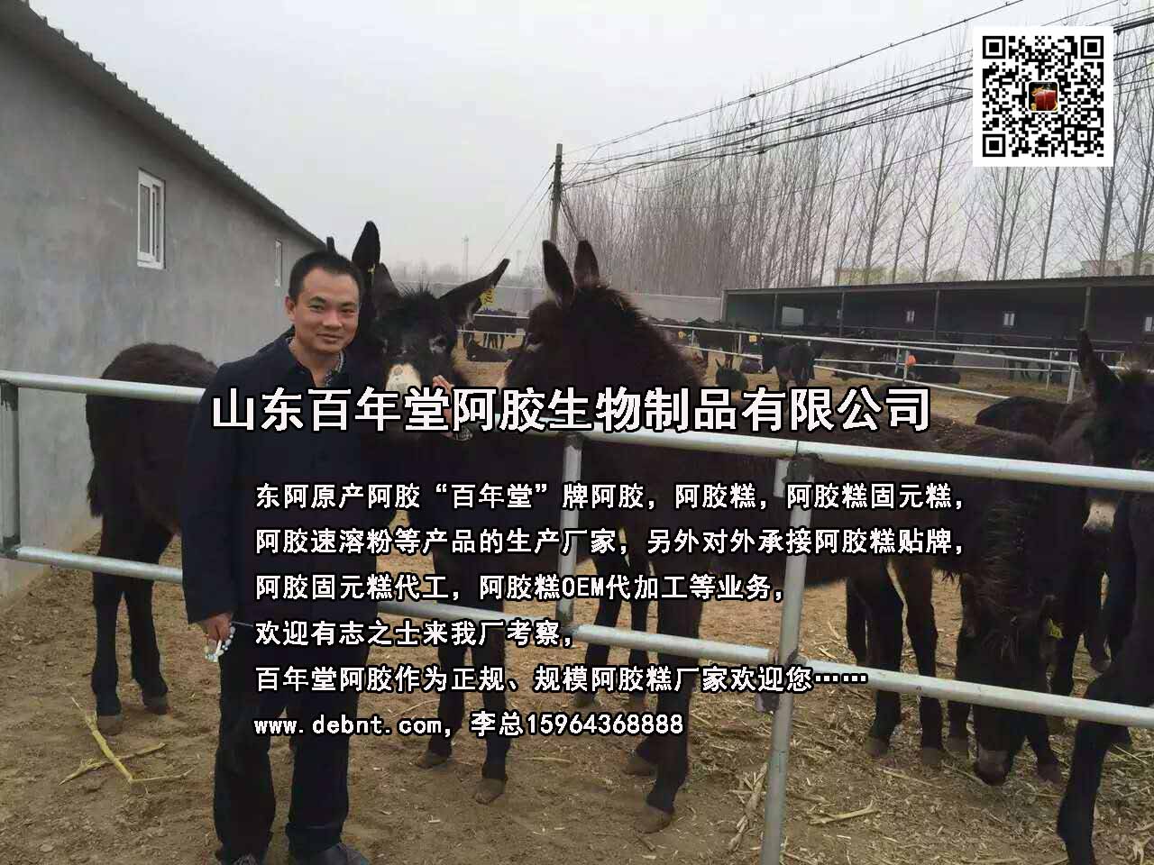 即食阿膠糕圖片/即食阿膠糕樣板圖 (4)