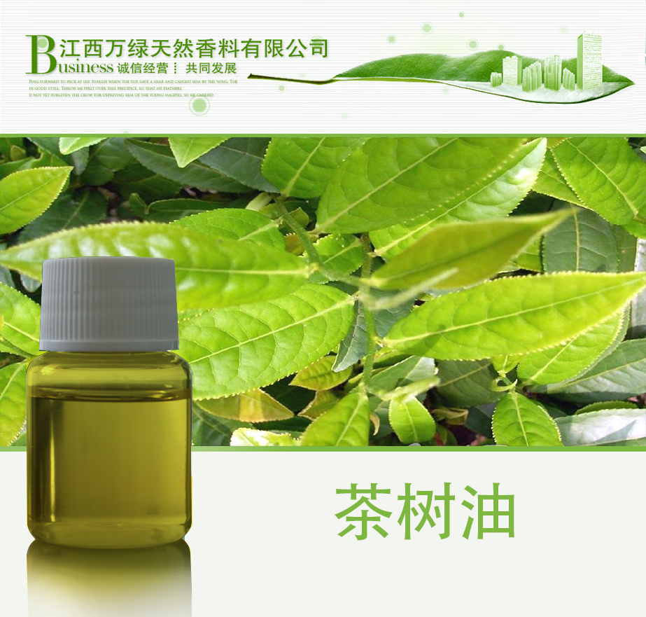 *原料茶樹(shù)油 *原料茶樹(shù)油 茶樹(shù)油 *原料茶樹(shù)油 互葉白千層油