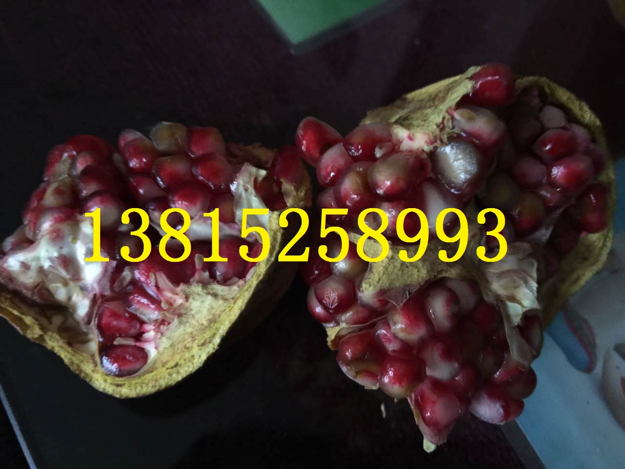 蘇州綠化苗木、蘇州苗木、蘇州花木圖片/蘇州綠化苗木、蘇州苗木、蘇州花木樣板圖 (4)