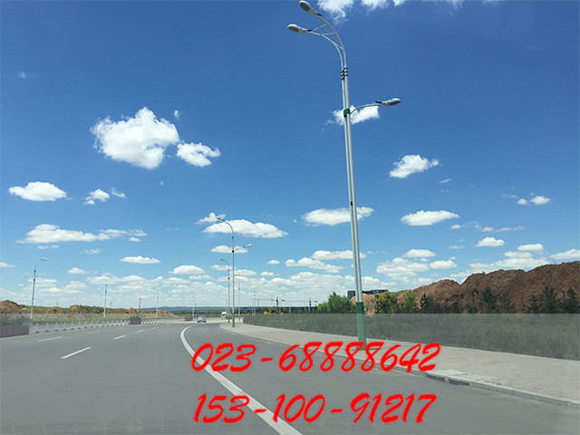 7米路燈桿圖片/7米路燈桿樣板圖 (4)
