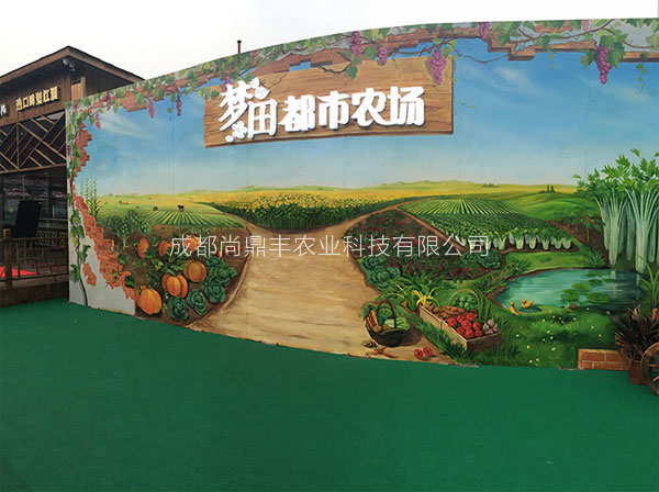特色房頂農(nóng)場(chǎng)規(guī)劃設(shè)計(jì)施工圖片