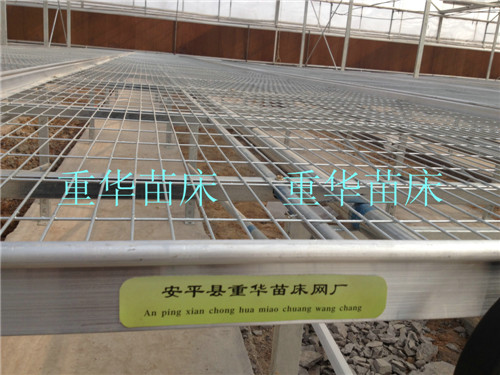 育苗床圖片/育苗床樣板圖 (1)