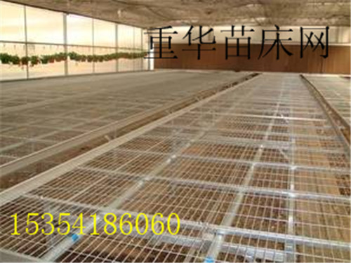 育苗床圖片/育苗床樣板圖 (2)