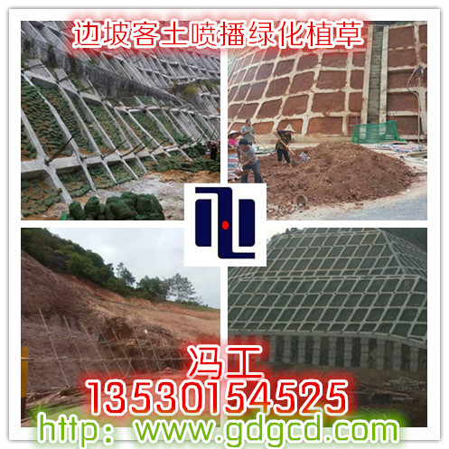 施工隊圖片/施工隊樣板圖 (3)