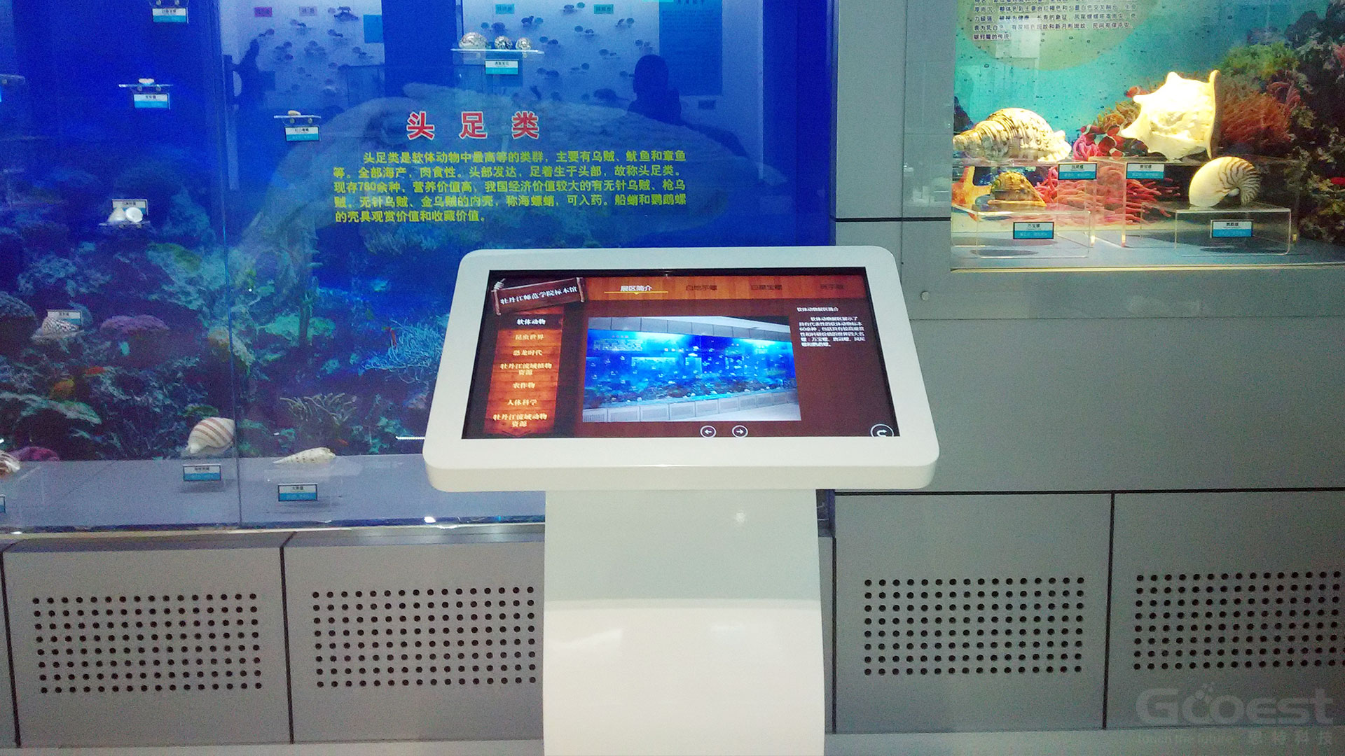 多媒體技術圖片/多媒體技術樣板圖 (1)