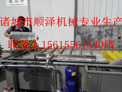 廠家直銷云南野竹筍清洗機 全自動鼓泡式清洗機 各種型號蔬菜清洗機