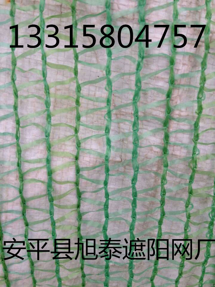 遮陽(yáng)網(wǎng)圖片/遮陽(yáng)網(wǎng)樣板圖 (3)