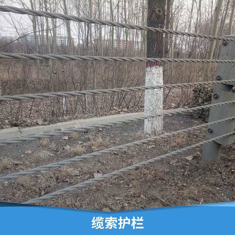 纜索護(hù)欄圖片/纜索護(hù)欄樣板圖 (1)