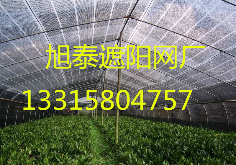 遮陽網(wǎng) 蓋土網(wǎng)蓋煤網(wǎng)柔性防護(hù)網(wǎng)圖片