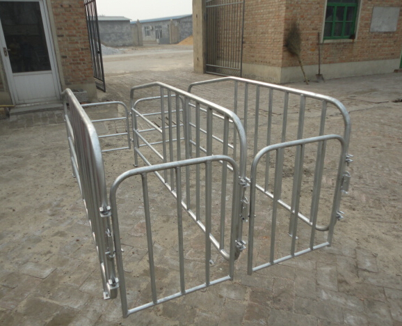 母豬定位欄限位欄母豬產(chǎn)床養(yǎng)豬設(shè)備圖片