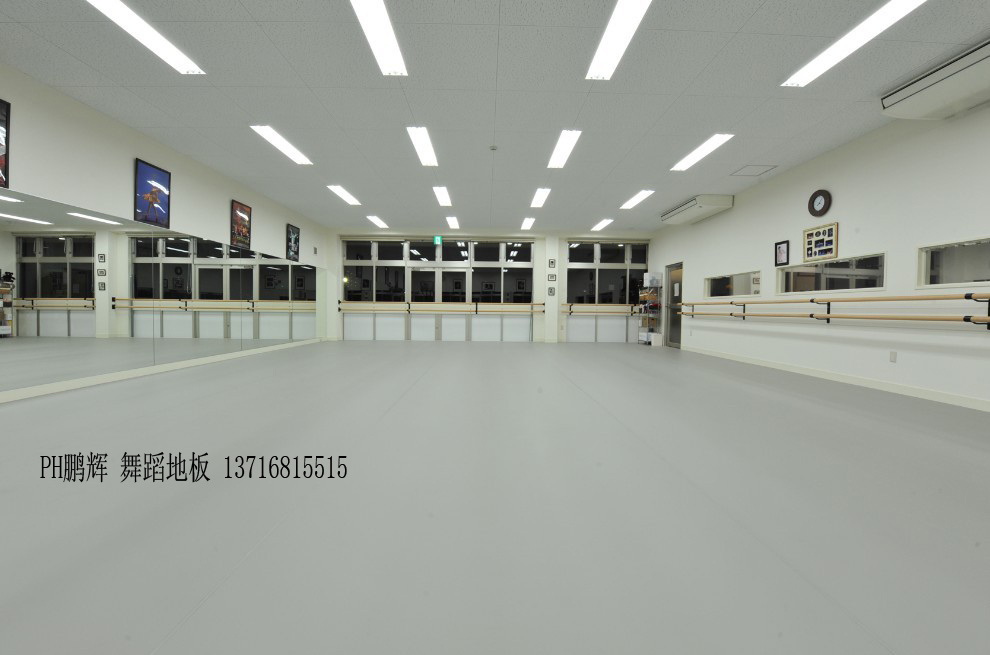 專用舞蹈地板地膠圖片/專用舞蹈地板地膠樣板圖 (4)