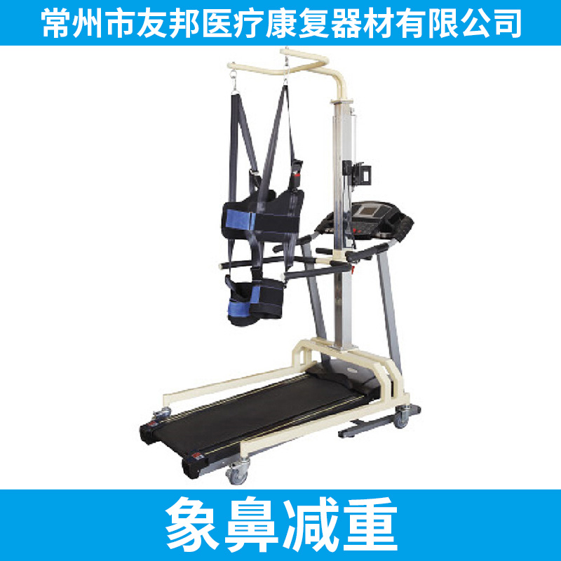 象鼻圖片/象鼻樣板圖 (4)