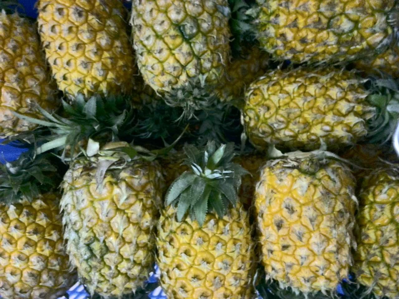 黃埔蔬菜配送公司、黃埔食材配送圖片