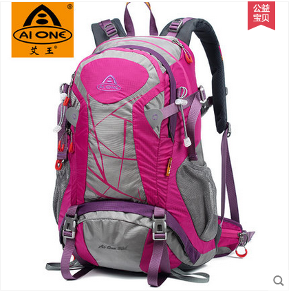 戶外雙肩專業(yè)背包圖片