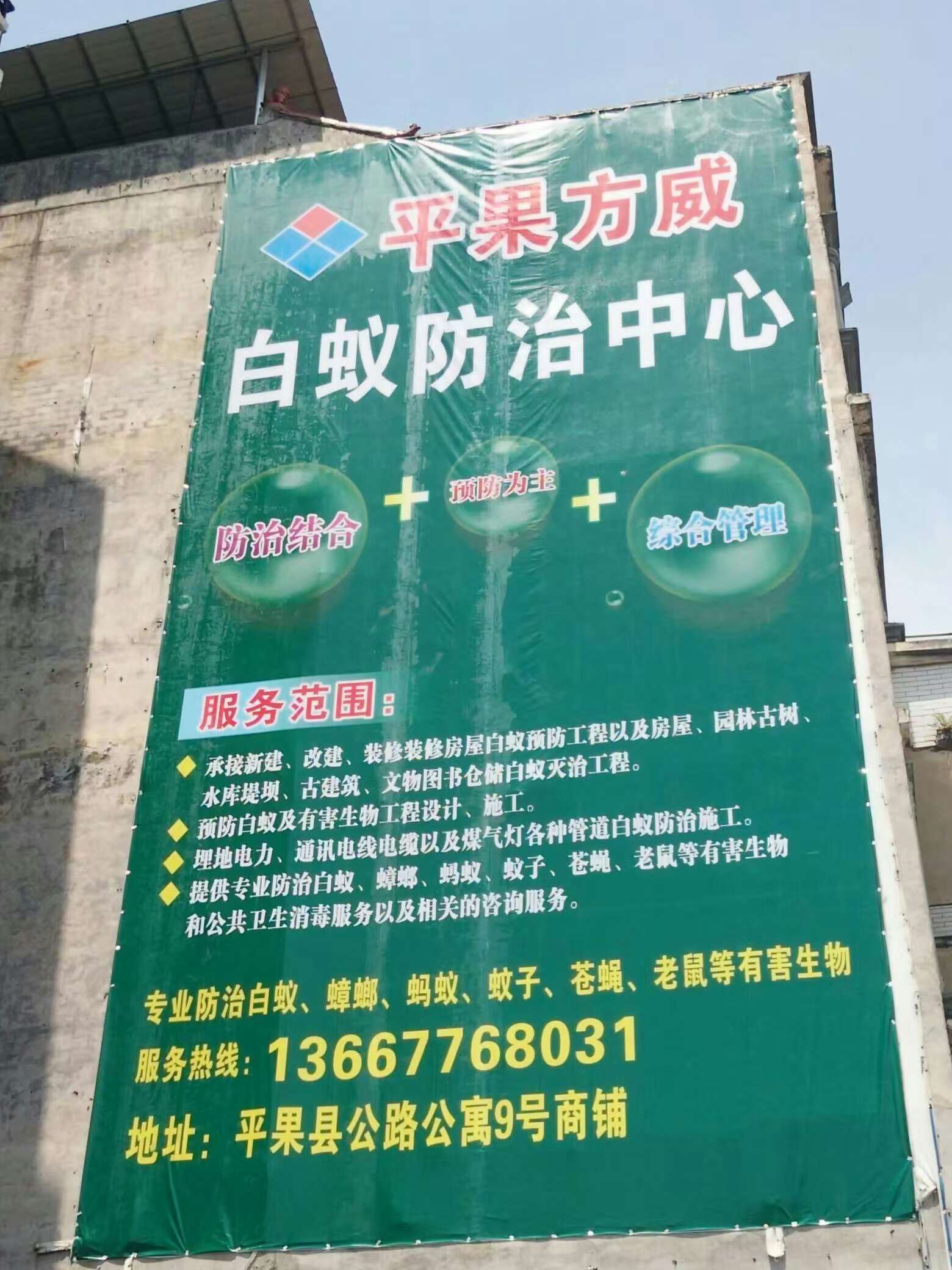 廣西百色白蟻裝修圖片