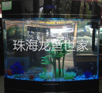魚缸造景圖片/魚缸造景樣板圖 (2)
