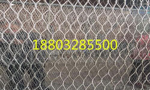 不銹鋼繩網(wǎng)圍網(wǎng)專業(yè)生產(chǎn)廠家圖片