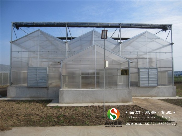 河南尚農(nóng)溫室大棚圖片/河南尚農(nóng)溫室大棚樣板圖 (3)