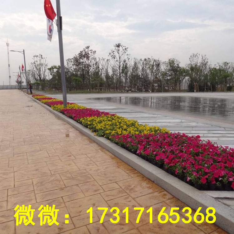 仿石仿木圖片/仿石仿木樣板圖 (3)