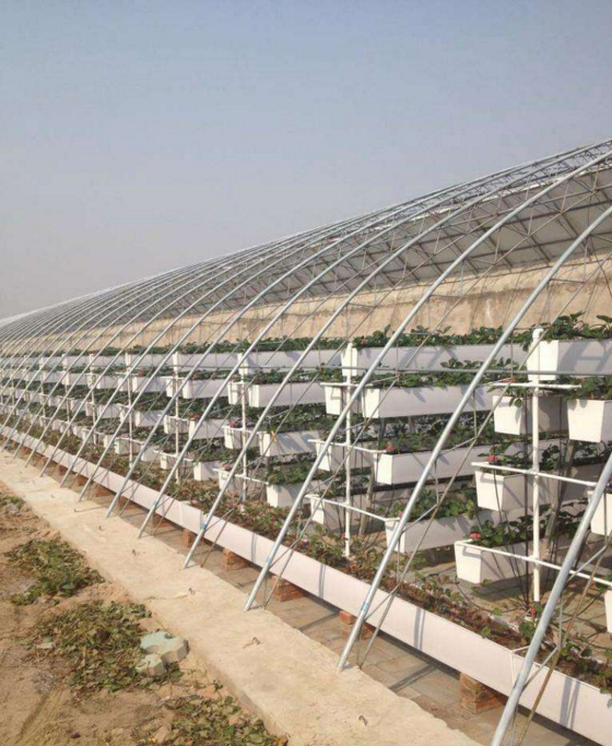 北京直銷草莓槽 草莓栽培槽圖片