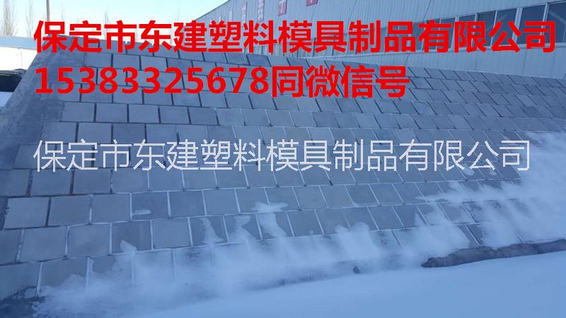 高鐵路基護(hù)坡圖片/高鐵路基護(hù)坡樣板圖 (1)