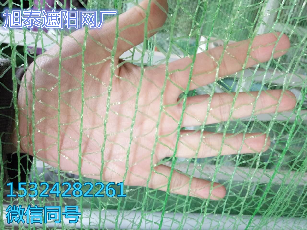 生產(chǎn)抗老化防輻射2針黑色遮陽網(wǎng)