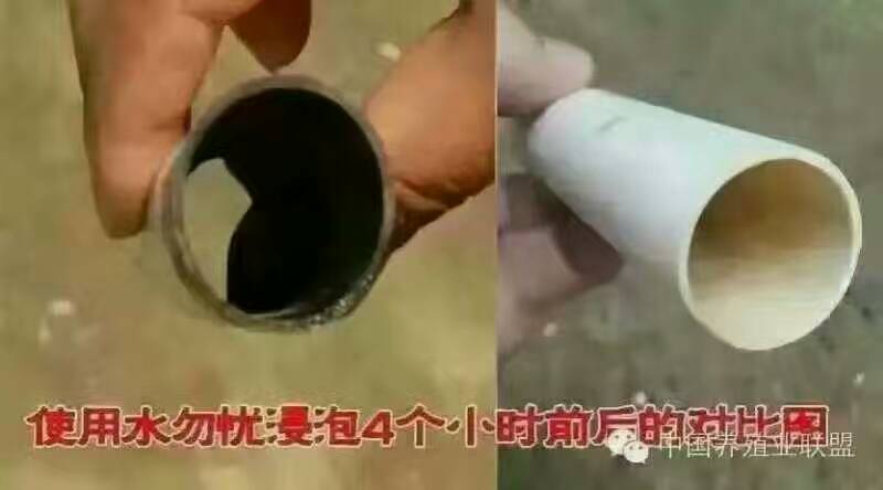 水勿憂圖片/水勿憂樣板圖 (2)