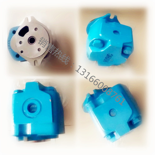 80齒輪泵圖片/80齒輪泵樣板圖 (1)