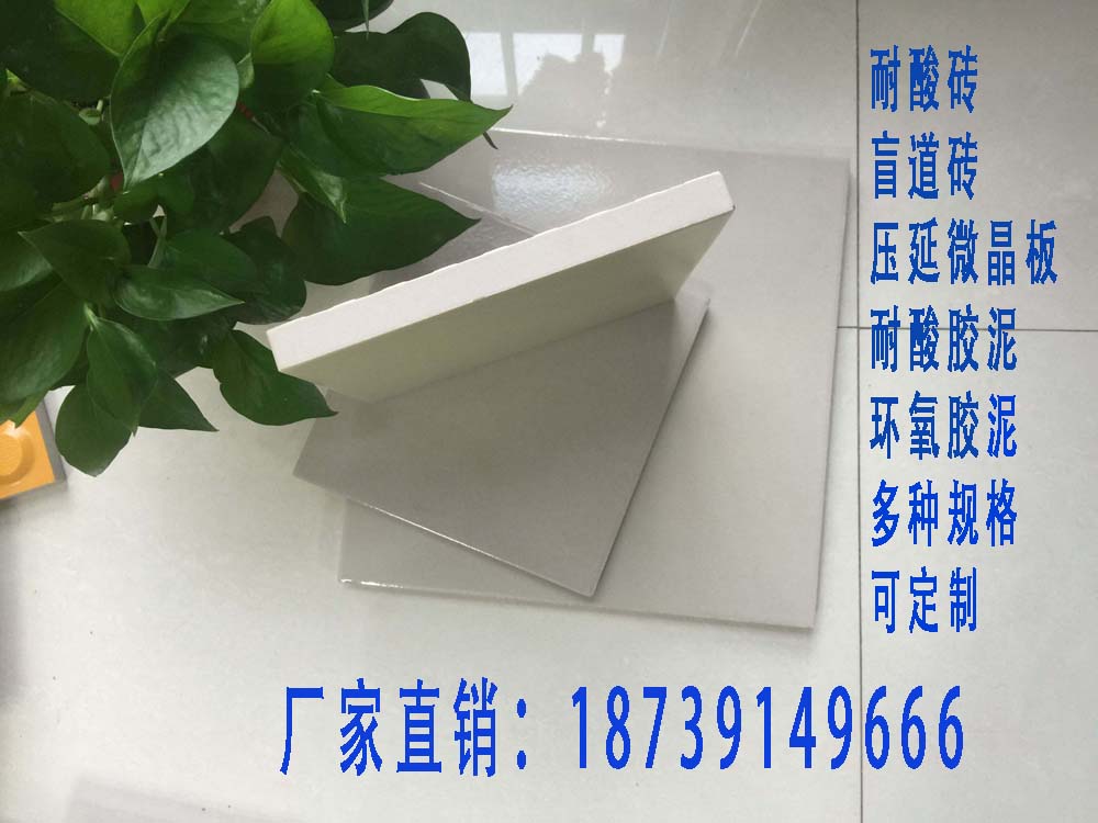 全瓷耐酸磚圖片/全瓷耐酸磚樣板圖 (3)