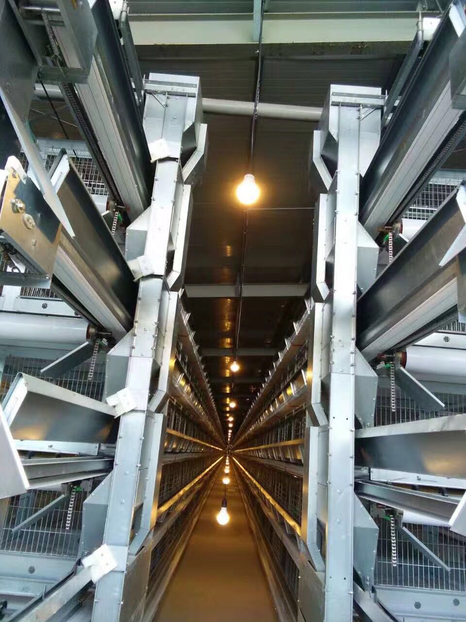 喂料機(jī)圖片/喂料機(jī)樣板圖 (3)