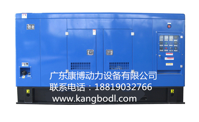 廣東靜音箱發(fā)電機(jī)組圖片/廣東靜音箱發(fā)電機(jī)組樣板圖 (4)